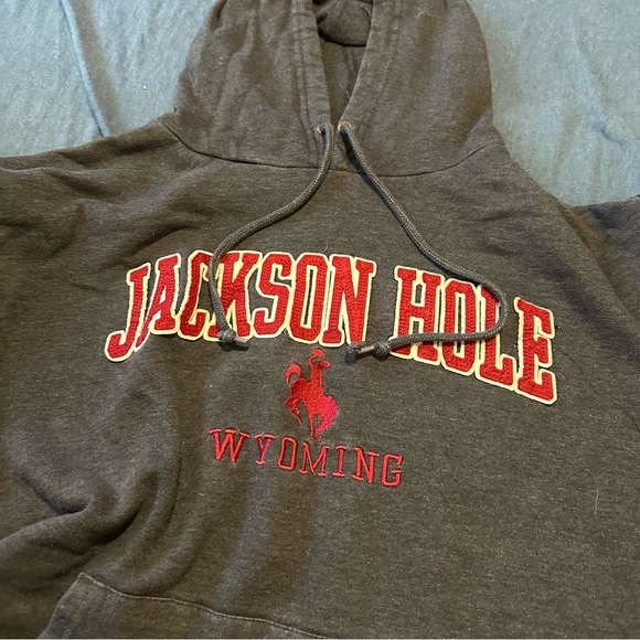 Jackson Hole Gray Men's Hoodie Sweatshirt  Large Grey & Red Wyoming Casual Cozy - Picture 3 of 6